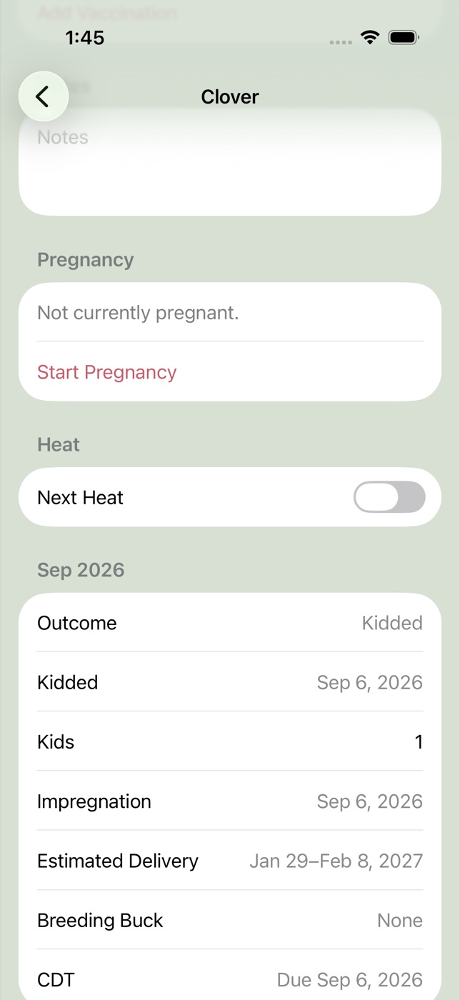 Clover’s heat toggle and kidding history after a completed pregnancy