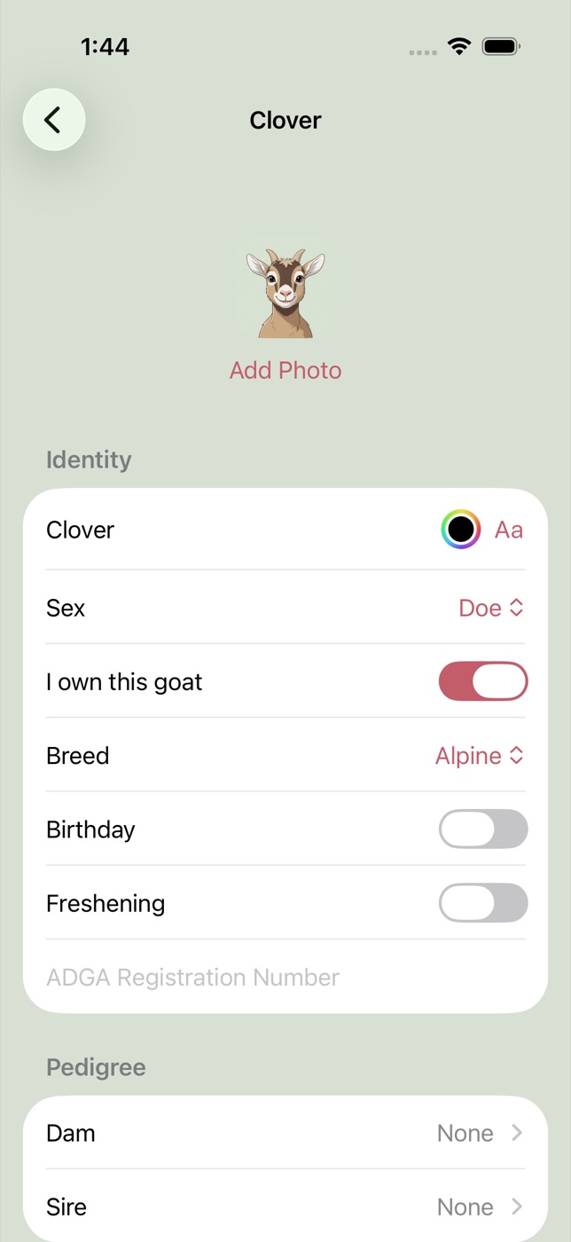 Identity section with name color and font pickers, breed, and pedigree